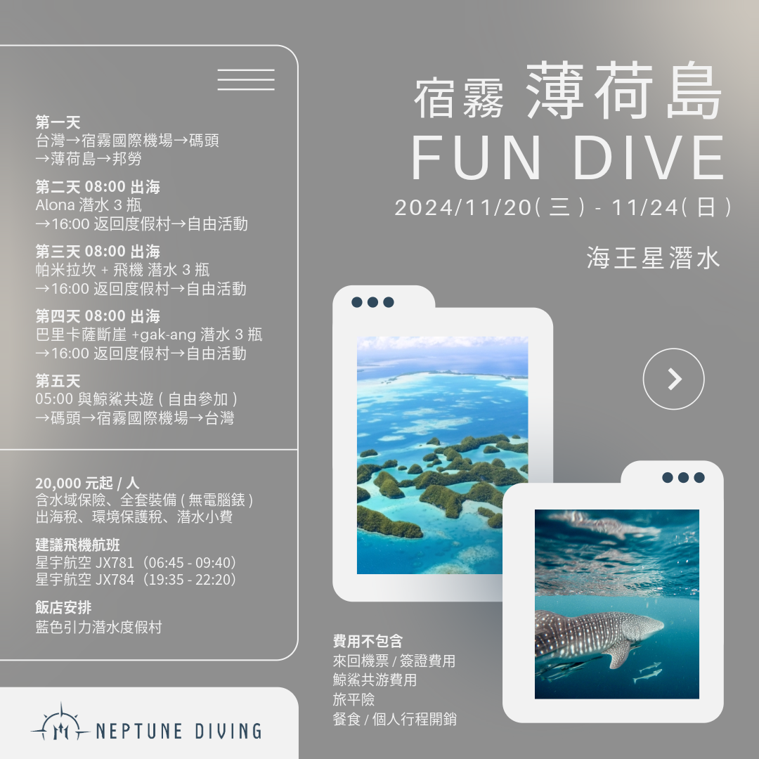 宿霧薄荷島潛水之旅